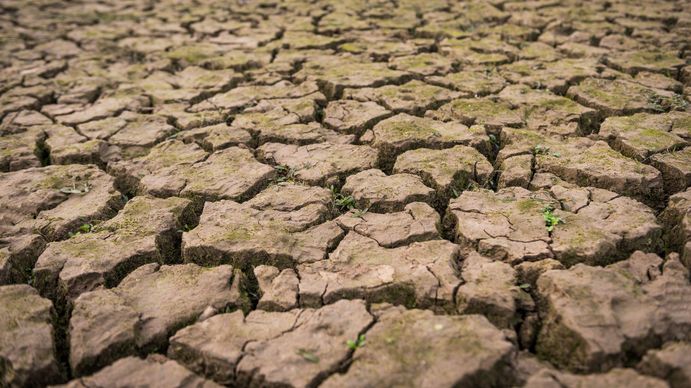 Sequía: terminó La Niña pero se espera un mayor impacto en áreas ya afectadas (Foto: Freepik.es)