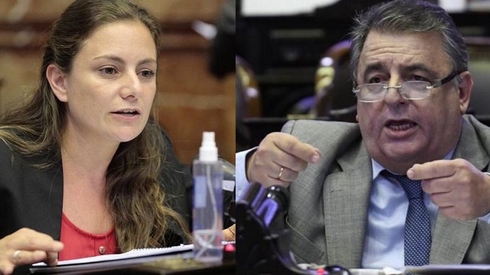 Vanesa Siley (Frente de Todos) y Mario Negri (Juntos por el Cambio) protagonizaron un acalorado debate (Foto: Télam).