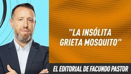 Editorial Facundo Pastor: La insólita grieta mosquito
