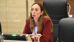 Renata Ghilotti presentó el proyecto en el Concejo Deliberante de Rosario (Foto: archivo). Renata Ghilotti presentó el proyecto en el Concejo Deliberante de Rosario (Foto: archivo).
