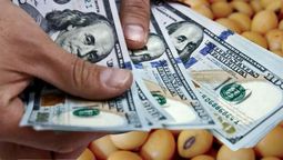 Dólar soja: compensarán a más de 4.000 pequeños y medianos productores que no entraron al programa (Foto: Télam). Dólar soja: compensarán a más de 4.000 pequeños y medianos productores que no entraron al programa (Foto: Télam).