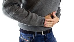 Una epidemia de diarrea mantiene en vilo a Brasil. (Foto: Pixabay) Una epidemia de diarrea mantiene en vilo a Brasil. (Foto: Pixabay)