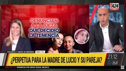 Esteban Trebucq opinó sobre la jueza a la que la familia de Lucio Dupuy apunto como la tercera asesina (Foto: Captura). Esteban Trebucq opinó sobre la jueza a la que la familia de Lucio Dupuy apunto como la tercera asesina (Foto: Captura).