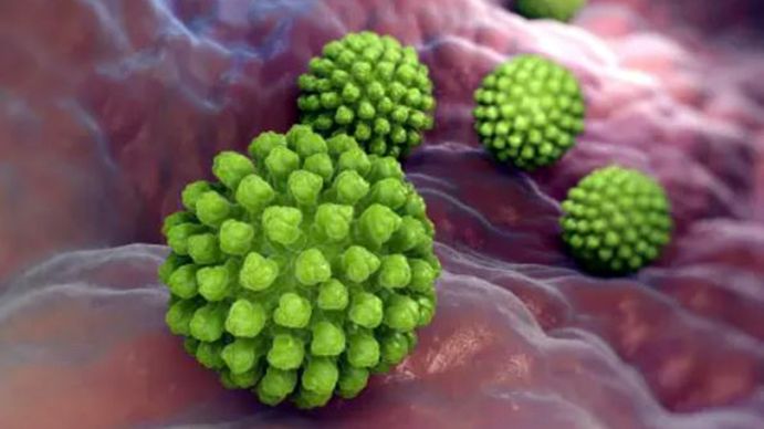 ¿Qué son los norovirus y rotavirus? (Foto: webconsultas)