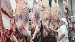 Jorge Chemes: El cierre de exportaciones de carne es un camino sumamente equivocado