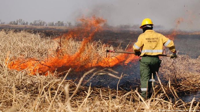 Inauguraron una red de alerta temprana ante incendios en el Delta (Foto: archivo)