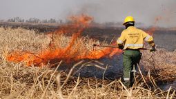 Inauguraron una red de alerta temprana ante incendios en el Delta (Foto: archivo) Inauguraron una red de alerta temprana ante incendios en el Delta (Foto: archivo)