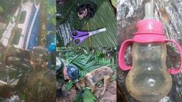 La avioneta y los restos hallados por el perro ulises que dan optimismo sobre la supervivencia de los niños. La avioneta en el que viajaban 3 adultos y 4 niños, que cayó en la selva colombiana. (Foto: A24.com) La avioneta y los restos hallados por el perro ulises que dan optimismo sobre la supervivencia de los niños. La avioneta en el que viajaban 3 adultos y 4 niños, que cayó en la selva colombiana. (Foto: A24.com)