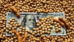 El esquema dólar soja permitió al Central hacer su mayor compra en dos meses (Foto: archivo) El esquema dólar soja permitió al Central hacer su mayor compra en dos meses (Foto: archivo)