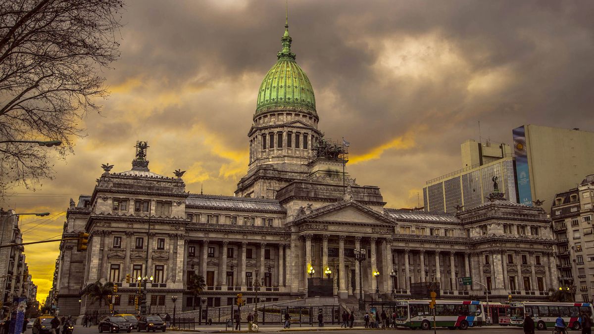 Diputados Y Senadores Cuáles Son Sus Principales Diferencias