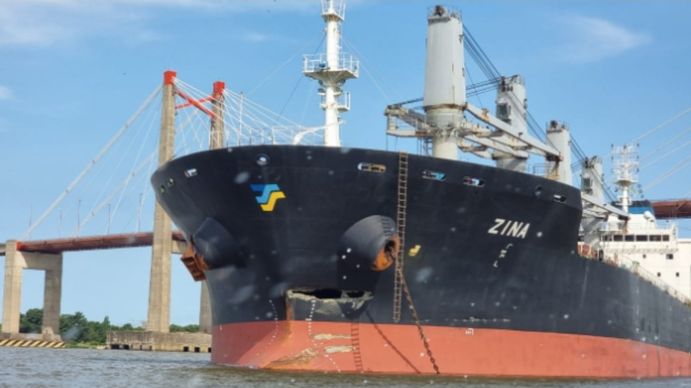 Un barco cerealero chocó&nbsp;contra el puente de Zárate-Brazo Largo e hizo temblar toda la estructura. (Foto: Impacto Local)&nbsp;