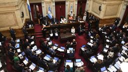 Cristina Kirchner abrió la primera sesión del Senado y ya se debate la Ley Lucio. (Télam) Cristina Kirchner abrió la primera sesión del Senado y ya se debate la Ley Lucio. (Télam)