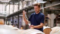 Después de los anuncios en la soja, el precio del dólar es seguido de cerca en las economías regionales. Después de los anuncios en la soja, el precio del dólar es seguido de cerca en las economías regionales.