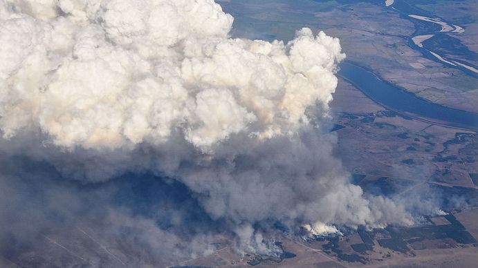 Para mitigar los efectos de la catástrofe en la economía local