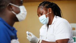 El análisis de los científicos es clave para comprender mejor el origen de la viruela del mono. (Foto: EFE) El análisis de los científicos es clave para comprender mejor el origen de la viruela del mono. (Foto: EFE)