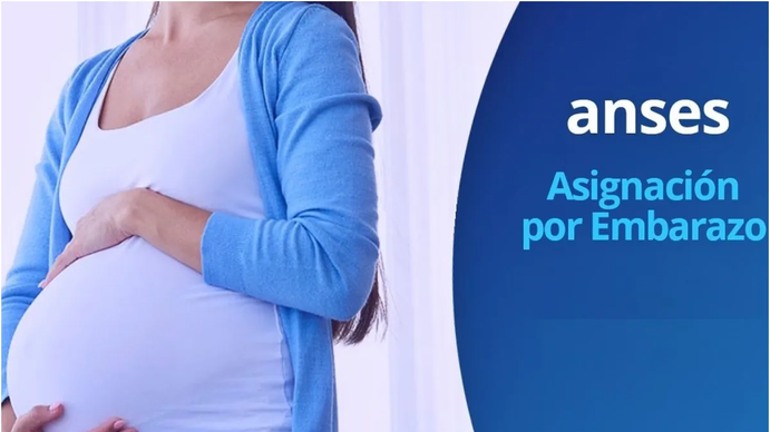 Modificaciones en el calendario ANSES: cuándo se cobra la AUE