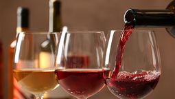 Florencia Lendoiro: Los vinos aumentaron 50% durante este año