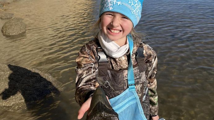 Una niña de 9 años y un hallazgo extraordinario: el diente de un megalodón